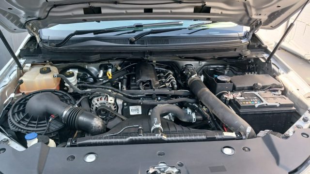 s13
