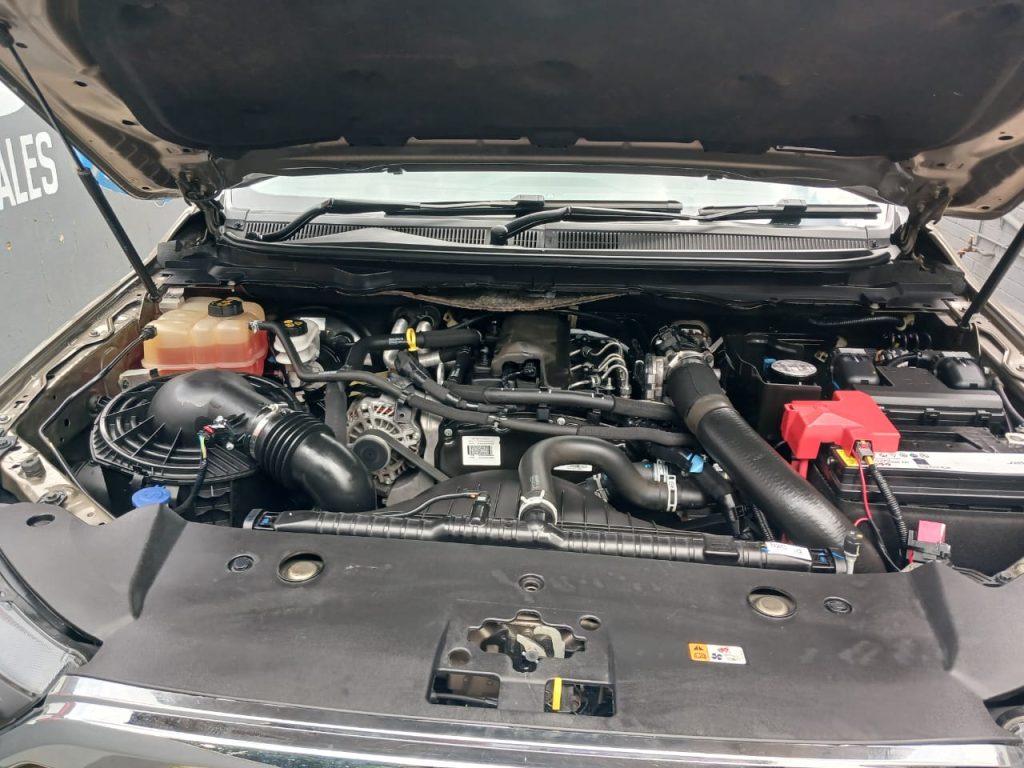 WhatsApp-Image-2025-01-16-at-14.42.03-1