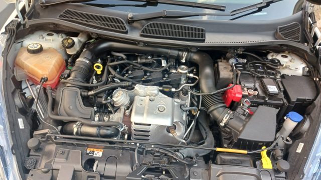 WhatsApp-Image-2025-02-10-at-09.33.01-1