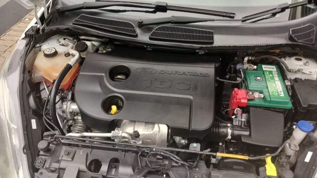 WhatsApp-Image-2025-02-12-at-09.58.27-1