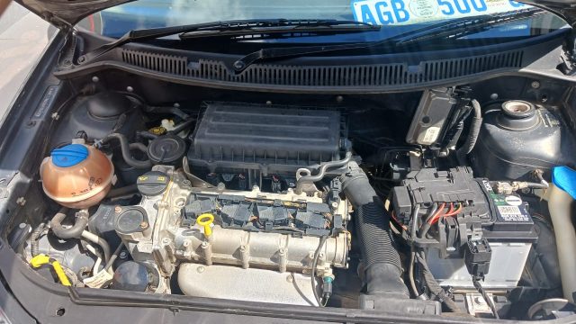 WhatsApp-Image-2025-02-14-at-13.14.54-1