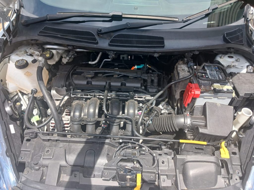 WhatsApp-Image-2025-02-24-at-14.28.53