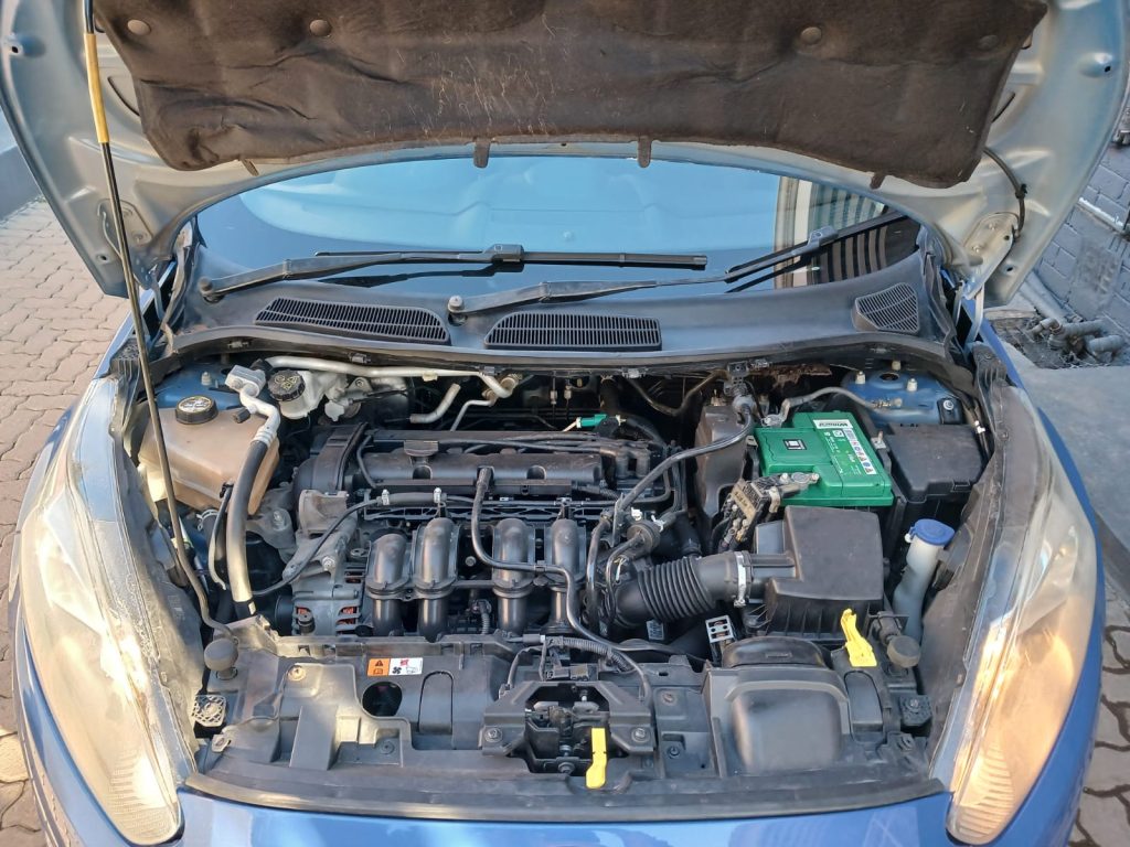 WhatsApp-Image-2025-06-10-at-16.36.32