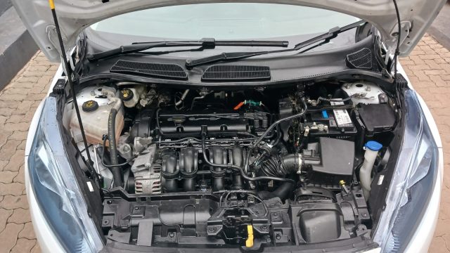 WhatsApp-Image-2025-11-04-at-16.14.18-1