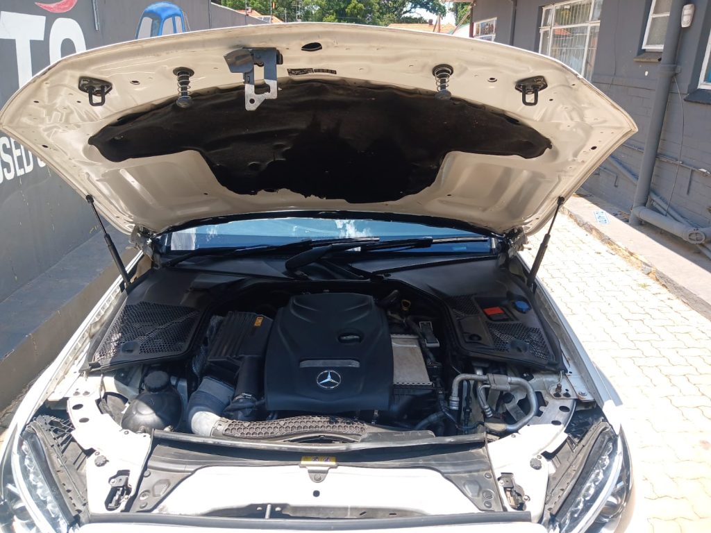 WhatsApp-Image-2025-11-13-at-11.24.58