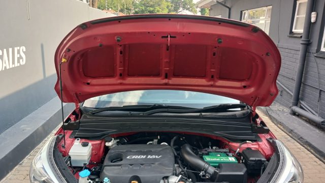 WhatsApp-Image-2026-01-08-at-16.51.09