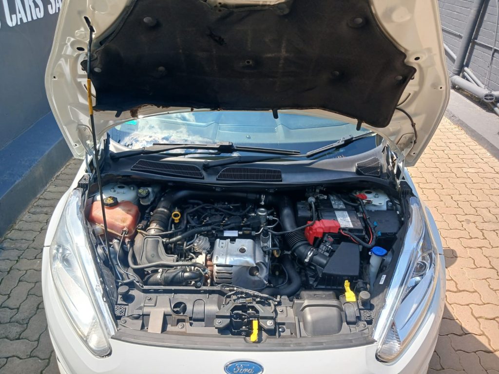 WhatsApp-Image-2026-01-09-at-10.25.56-1