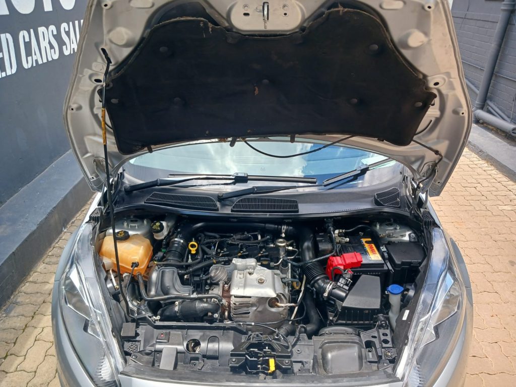 WhatsApp-Image-2026-01-12-at-11.29.57