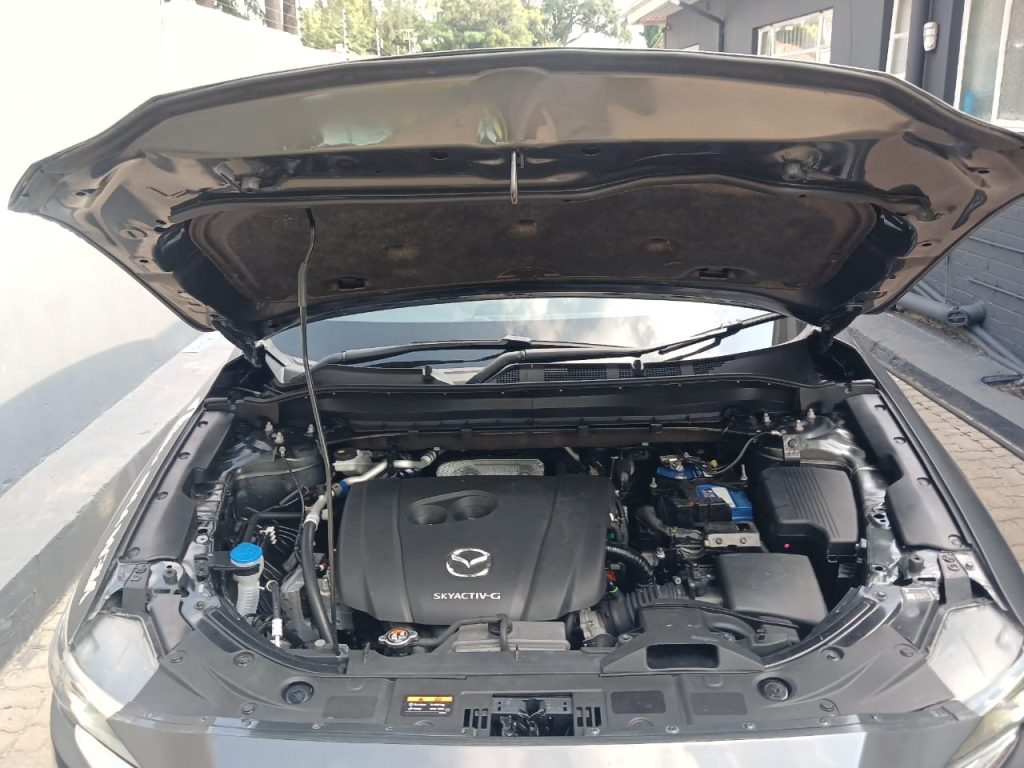 WhatsApp-Image-2026-01-17-at-09.17.59