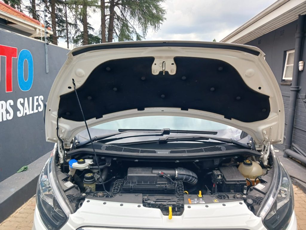 WhatsApp-Image-2026-01-17-at-12.17.27