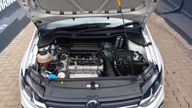 WhatsApp-Image-2026-01-21-at-14.51.11-1