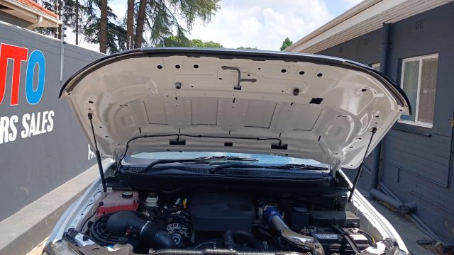 WhatsApp-Image-2026-01-24-at-14.00.50