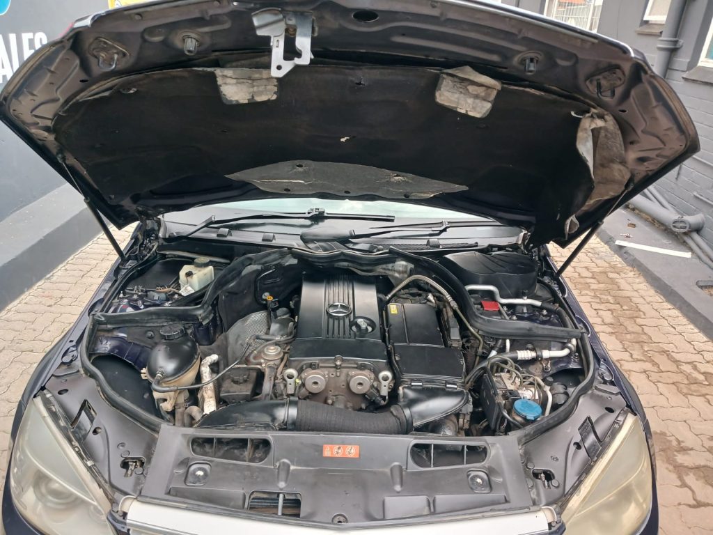 WhatsApp-Image-2026-01-31-at-10.39.18