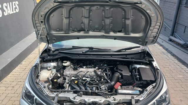 WhatsApp-Image-2026-02-03-at-16.57.30