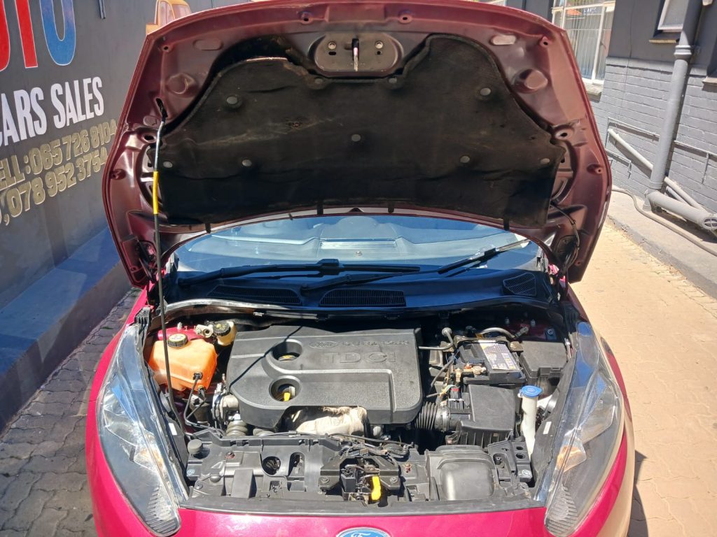 WhatsApp-Image-2026-03-11-at-11.12.53