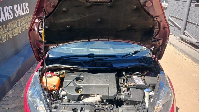 WhatsApp-Image-2026-03-11-at-11.12.53