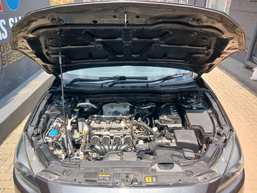 WhatsApp-Image-2026-03-26-at-12.40.19