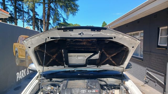 WhatsApp-Image-2026-04-18-at-11.46.09